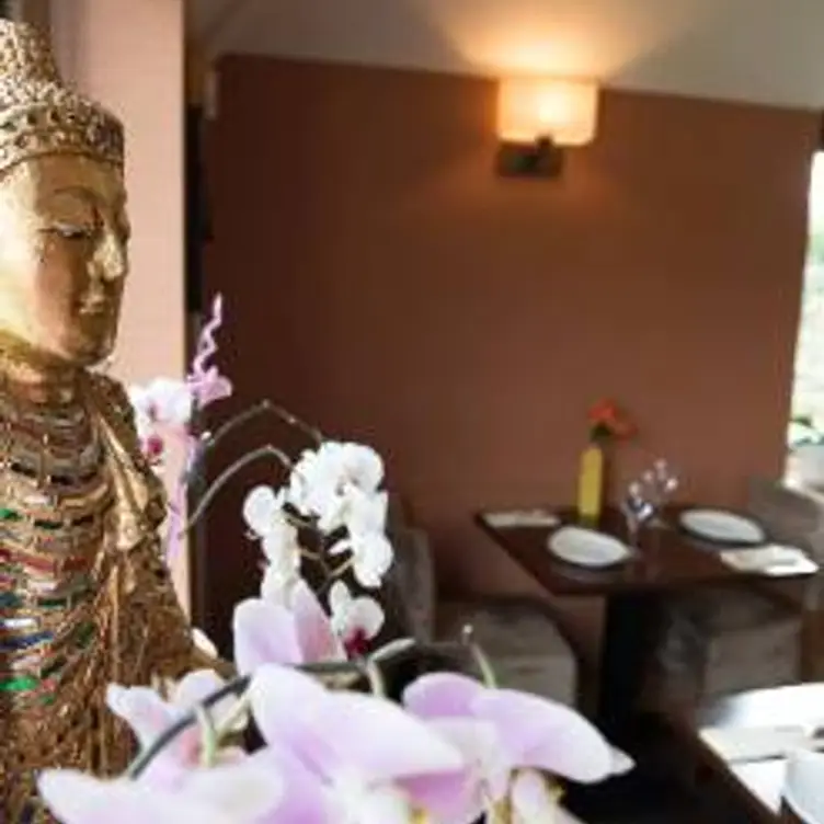 Thai Terre - East Dean, Eastbourne, East Sussex