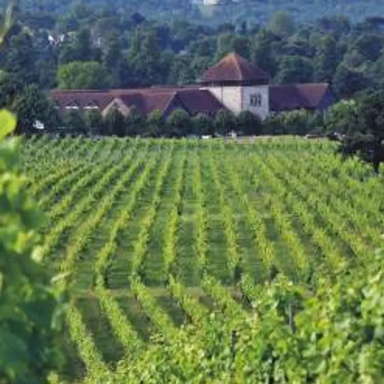 Denbies Gallery Restaurant, Dorking, Surrey
