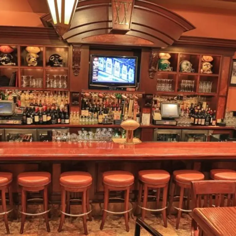 Downstairs Bar - Ditka's - Chicago, Chicago, IL