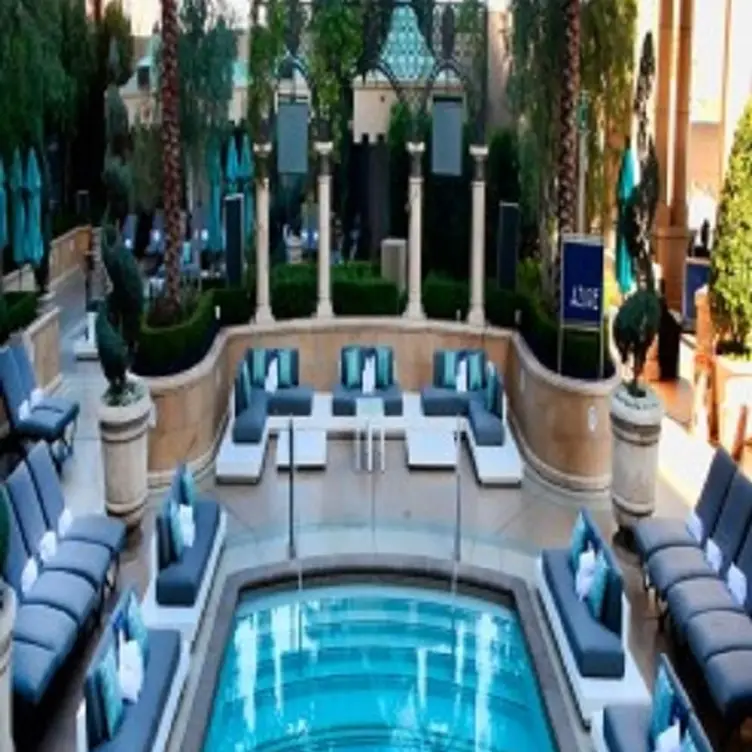 The Aquatic Club – Palazzo, Las Vegas, NV