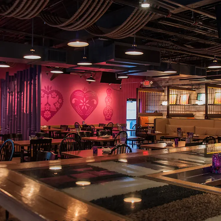 Salsa a la Salsa - Uptown - Permanently Closed, Minneapolis, MN