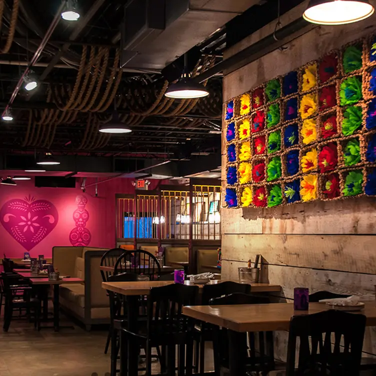 Salsa a la Salsa - Uptown - Permanently Closed, Minneapolis, MN