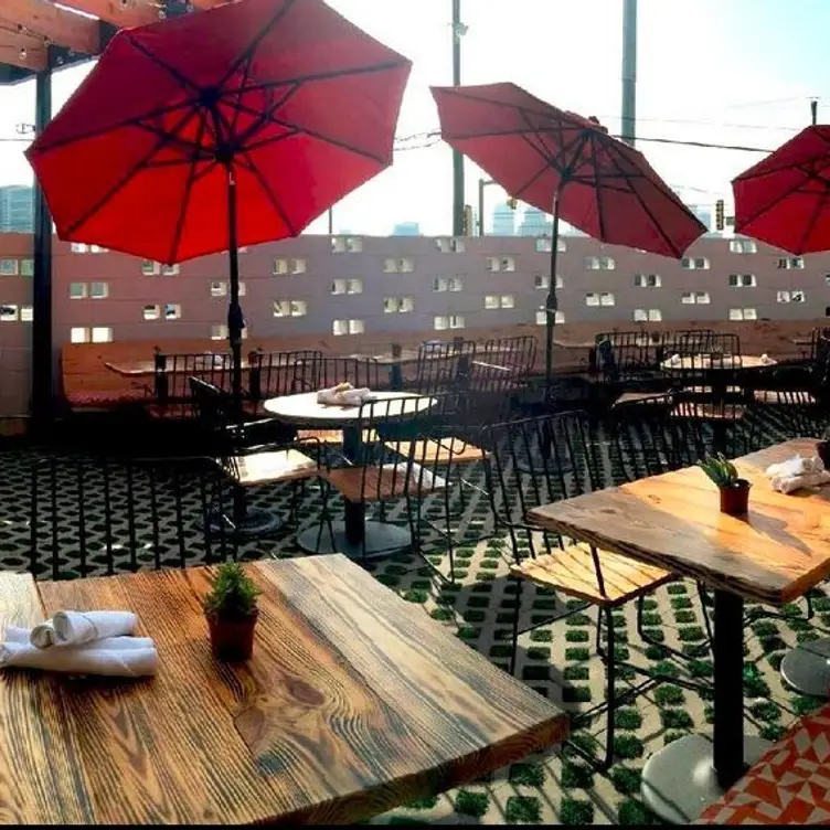 El Bolero, Dallas, TX
