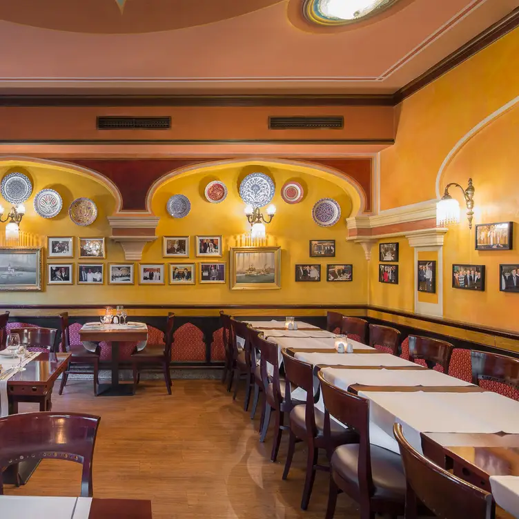 Hasir Mitte, Berlin, BE