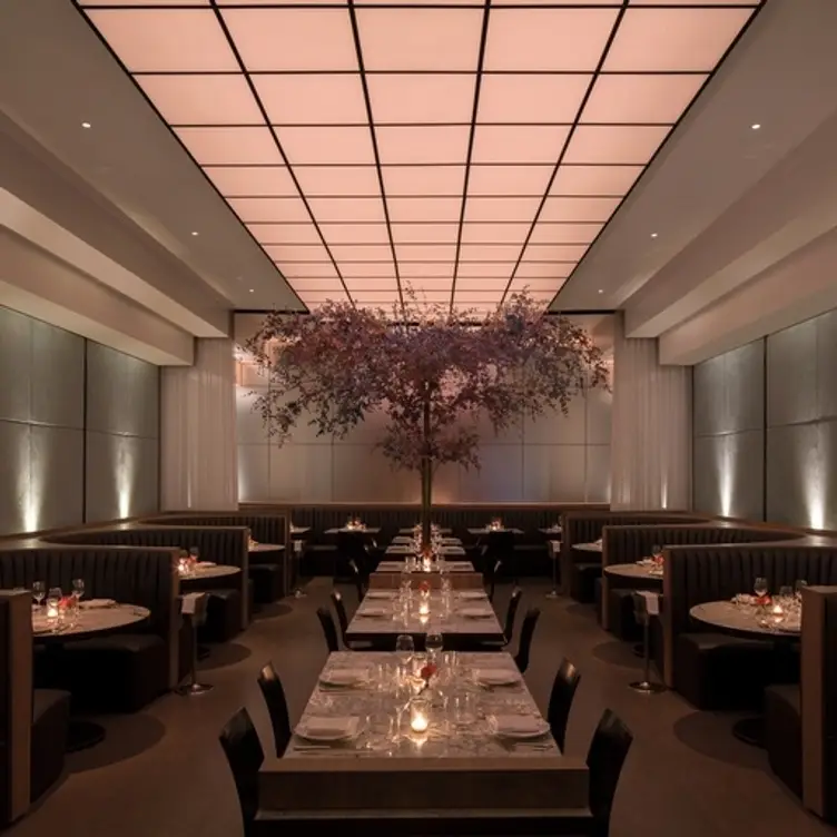 Asia de Cuba, New York, NY