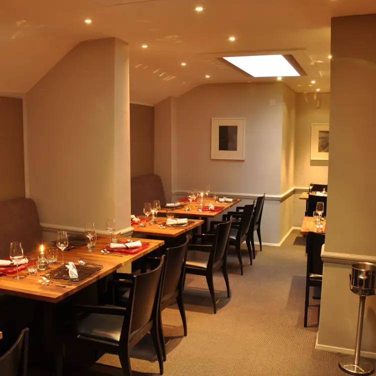 The Painted Heron, London, 