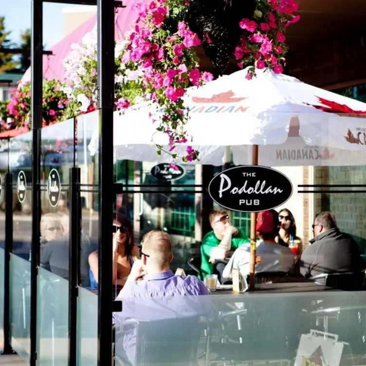 Podollan Pub, Vernon, AB