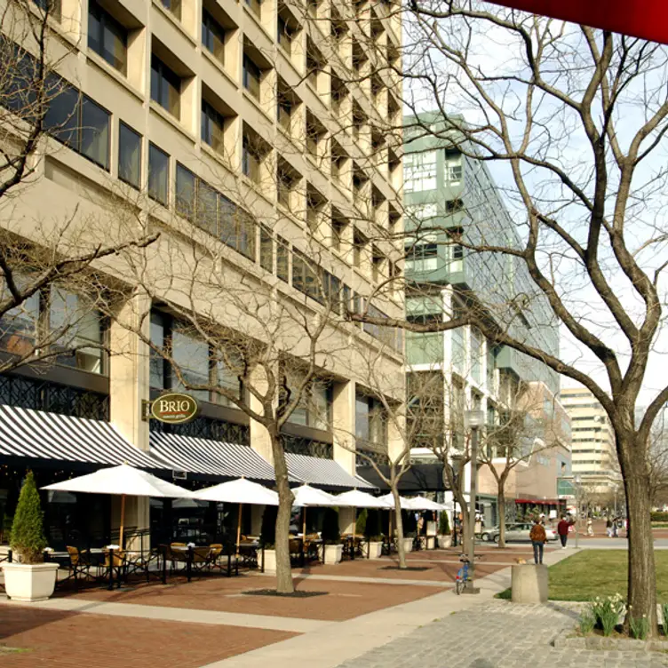 BRIO Tuscan Grille - Baltimore - Inner Harbor - Permanently Closed, Baltimore, MD