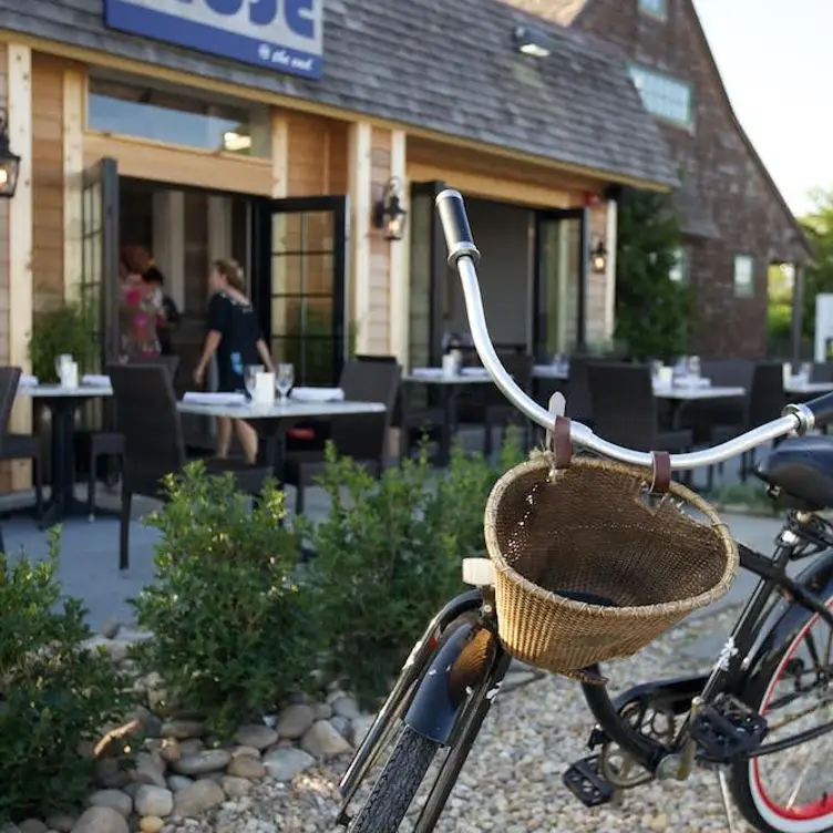 Muse at the end, Montauk, NY