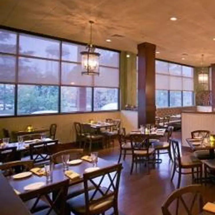 Due South Seafood Kitchen, Peachtree City, GA