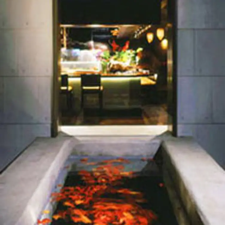 Uchi Austin, Austin, TX