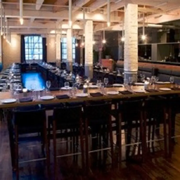Brassaii, Toronto, ON