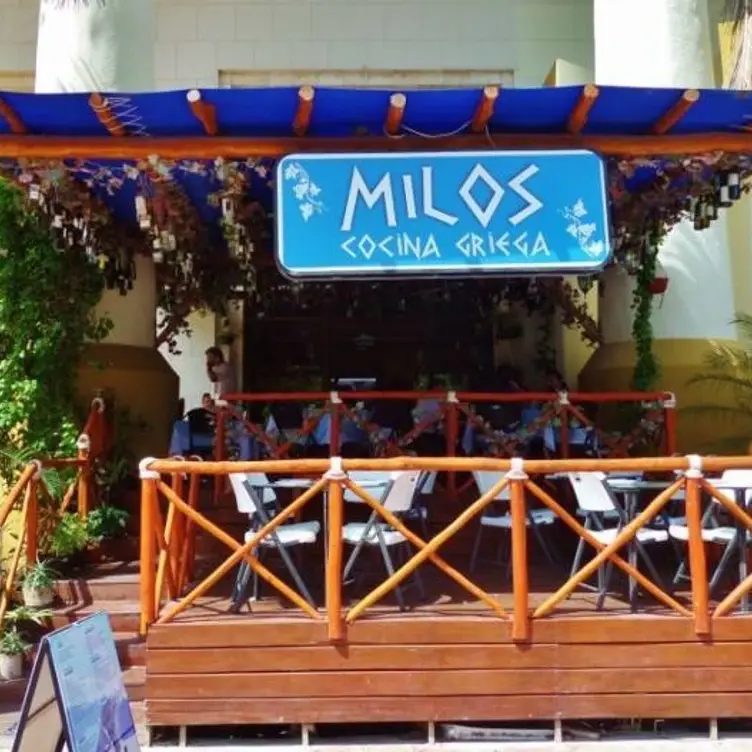 Milos, Playa del Carmen, ROO