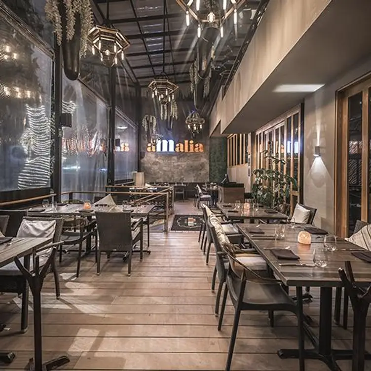 Amalia - Polanco, Mexico, CDMX