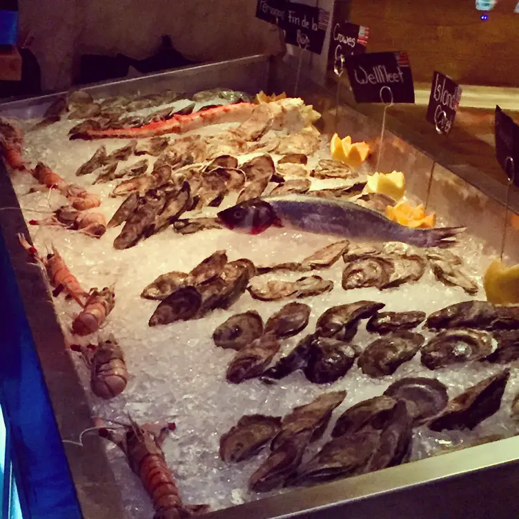 Mare, Boston, MA
