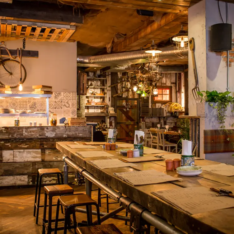 The Potting Shed, Edinburgh, 