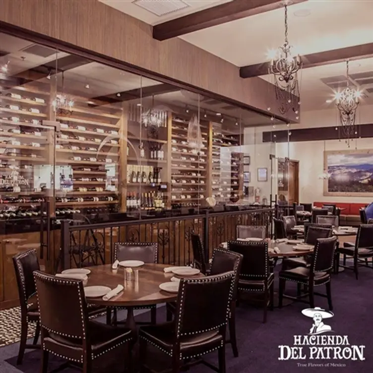 Hacienda del Patron, McAllen, TX
