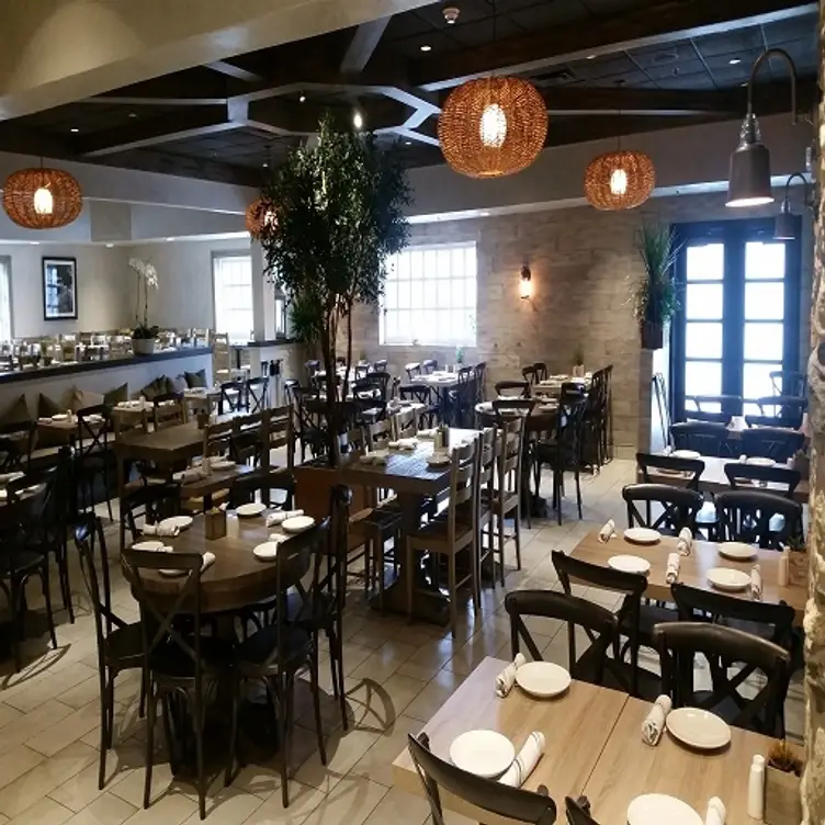 Plateia Kitchen - Bar, Des Plaines, IL