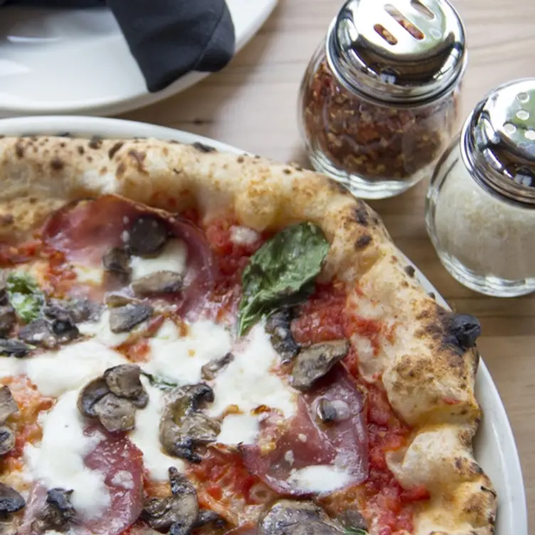 Tutta Bella - Bellevue, Bellevue, WA