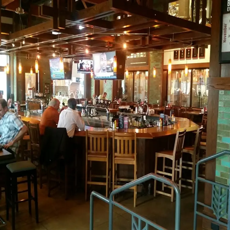 Rock Bottom Brewery Restaurant - Yorktown, Lombard, IL