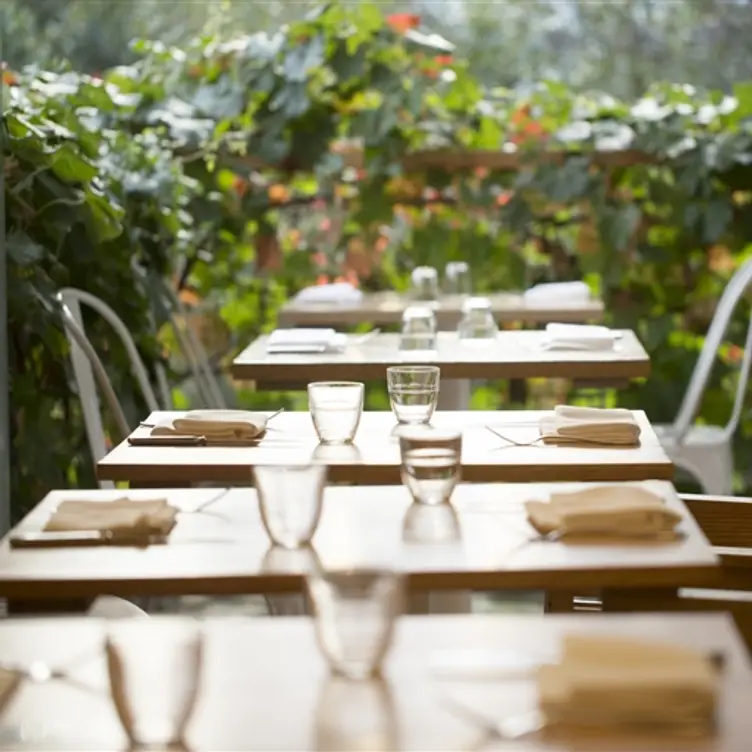 Healdsburg SHED, Healdsburg, CA