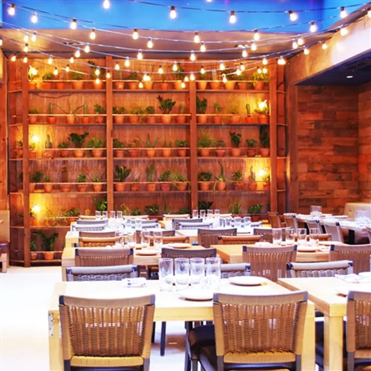 Dos Caminos - SoHo, New York, NY