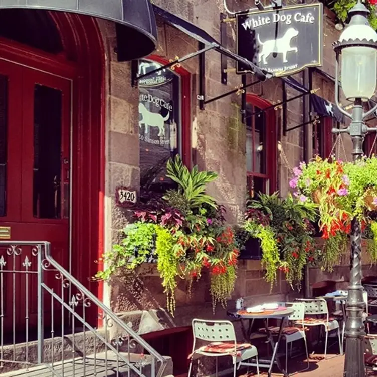 White Dog Cafe - University City, Philadelphia, PA