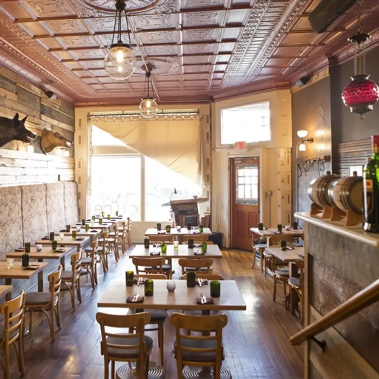 Cure, Lawrenceville, PA
