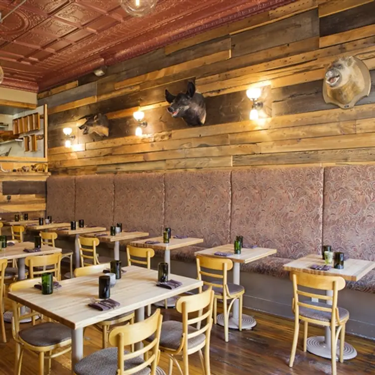 Cure, Lawrenceville, PA
