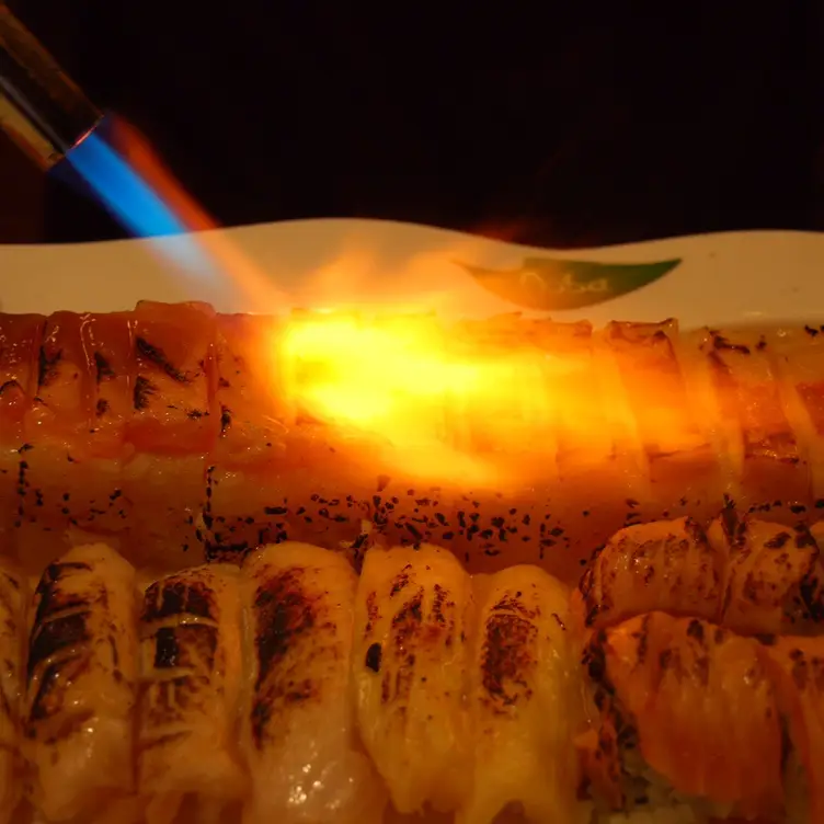 Sear - Aoba Sushi - Permanently Closed, Denver, CO