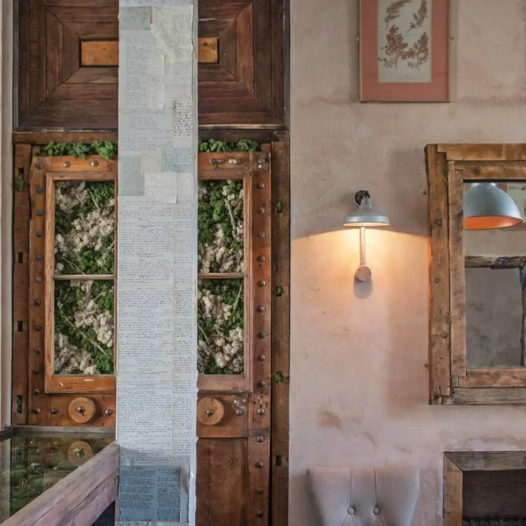 Wolfe - Permanently Closed, London, 
