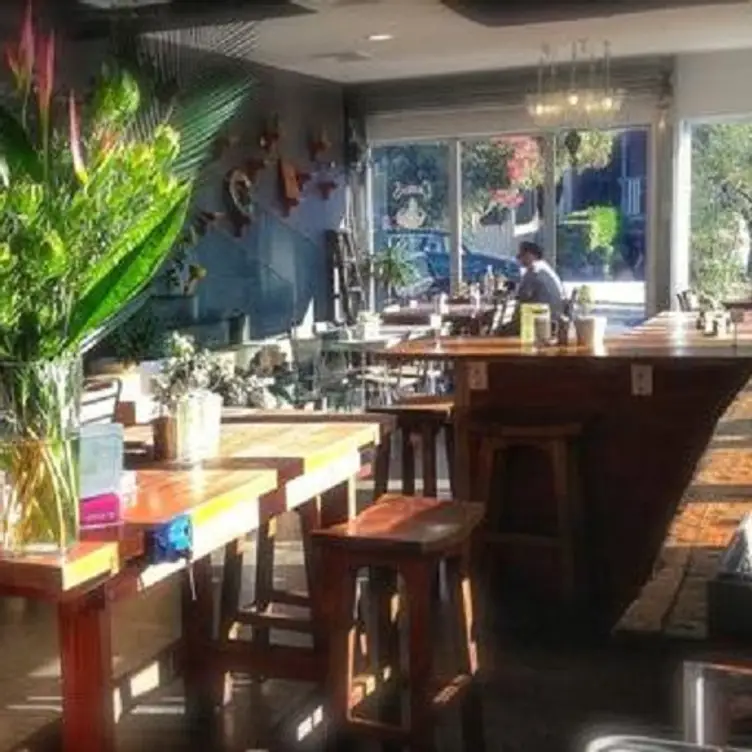 Copo Cafe & Diner - Copo Cafe & Diner, Drummoyne, AU-NSW