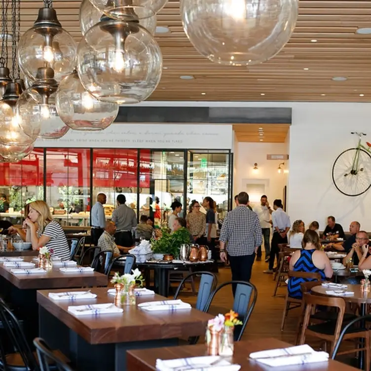 North Italia - El Segundo, El Segundo, CA