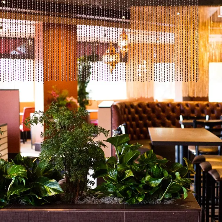 Inde Fusion - Permanently Closed, Scottsdale, AZ