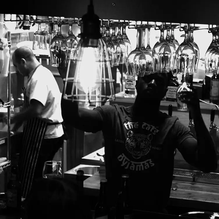 Cats - The Cat’s Pyjamas, Headingley, West Yorkshire