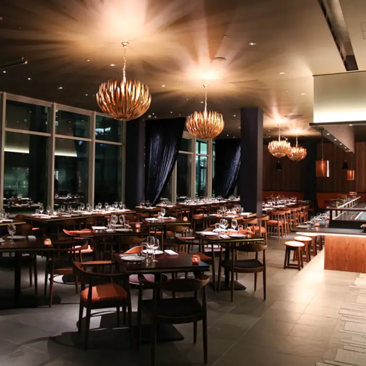 Restaurant - Darbaar Restaurant, London, 