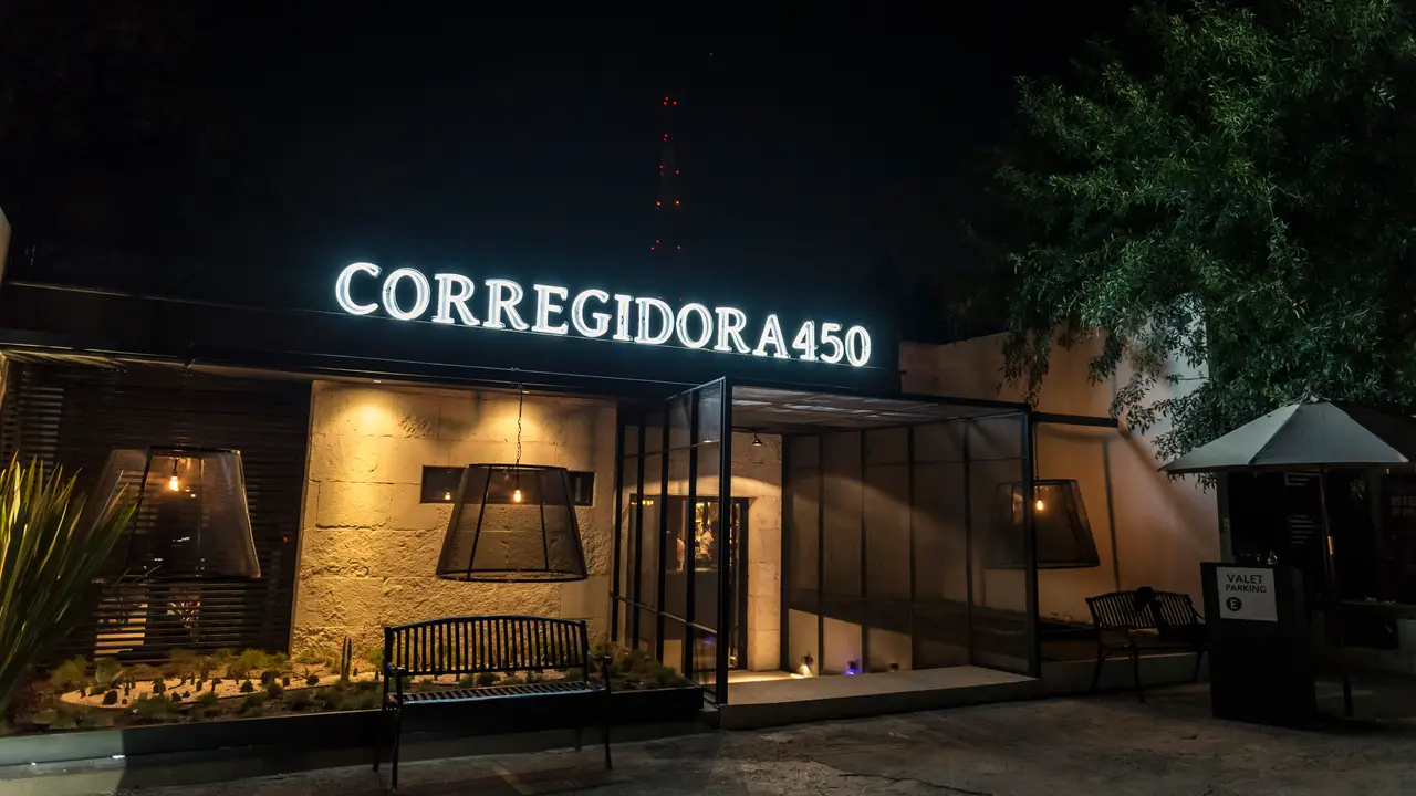 Corregidora 450, San Pedro Garza García, NLE