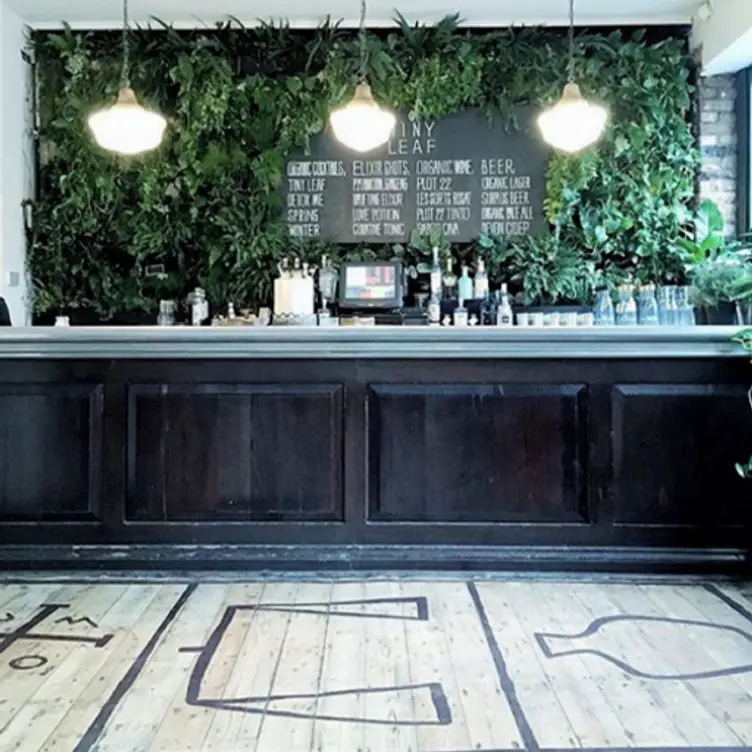 Screen Shot -- At - Tiny Leaf - Permanently Closed, London, 