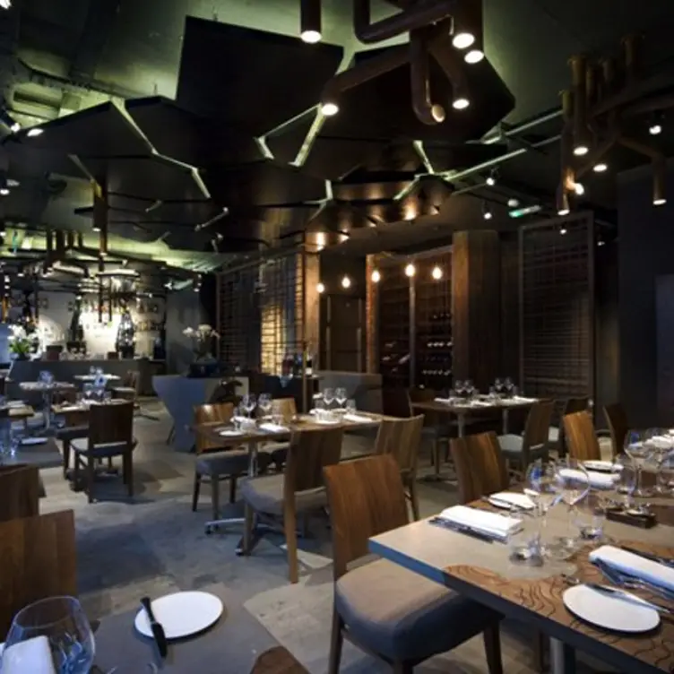 Zebrano Restaurant - City Z, London, 