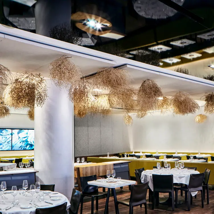 Nota Bene, Toronto, ON