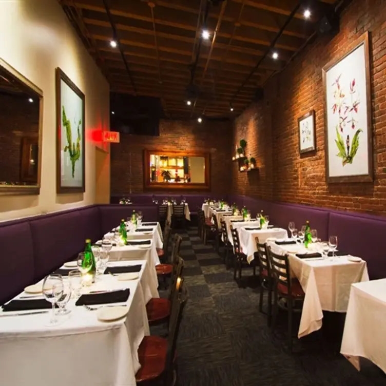 Les Zygomates Wine Bar Bistro, Boston, MA