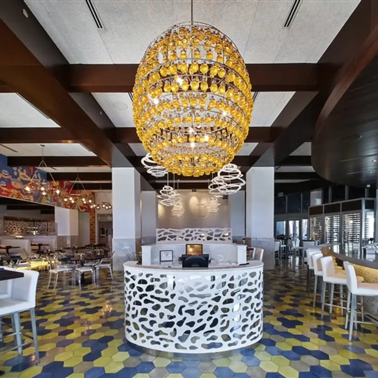 Apeiro Kitchen & Bar- Midtown Miami - Permanently Closed, Miami, FL