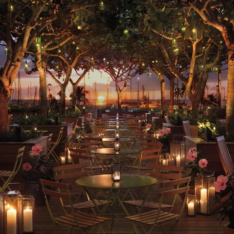 The Grove at The Modern Honolulu, Honolulu, HI