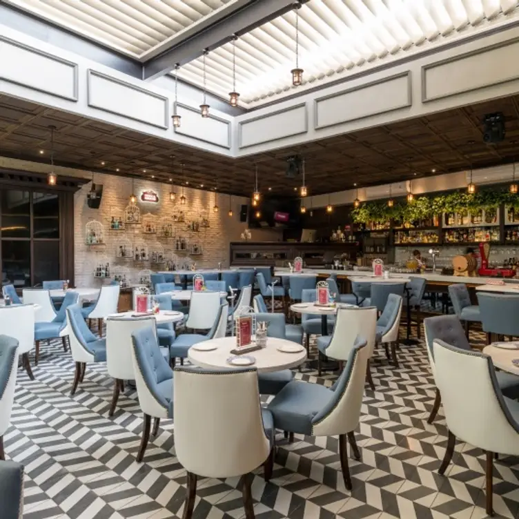 Bruno Cucina - Querétaro, Querétaro, QUE
