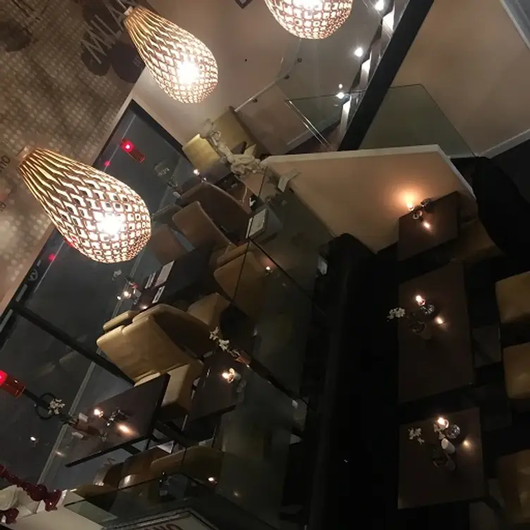 Milano Restaurant - Permanently Closed, London, 