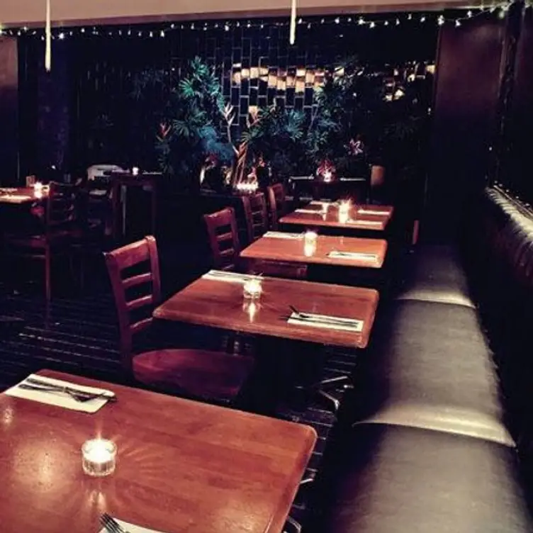 Zensai - Permanently Closed, London, 
