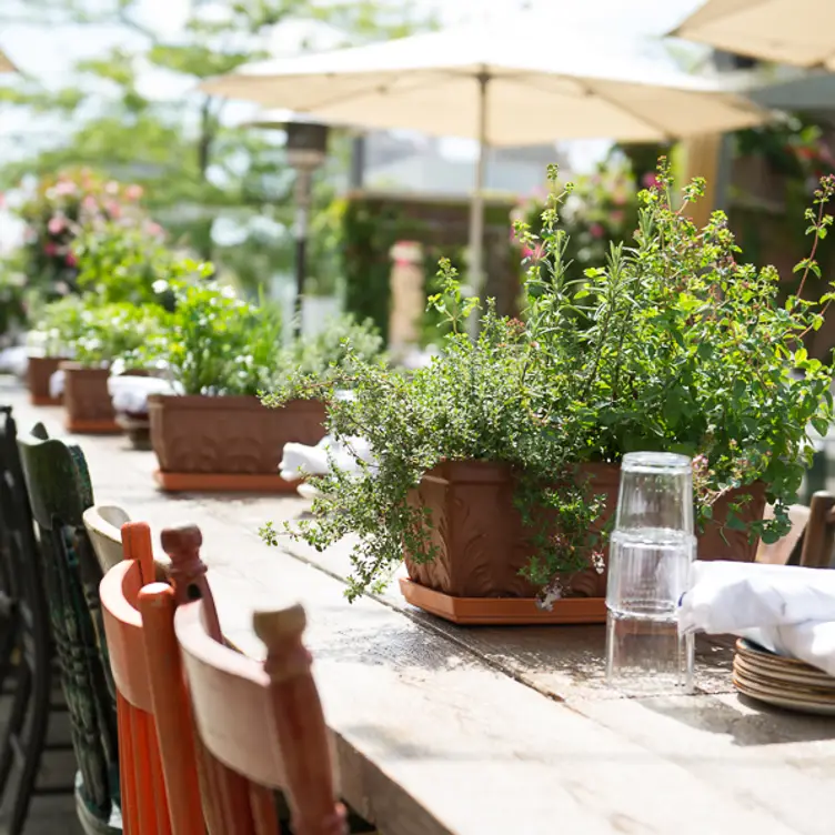 Square One Patio - Scaddabush Italian Kitchen & Bar - Square One, Mississauga, ON