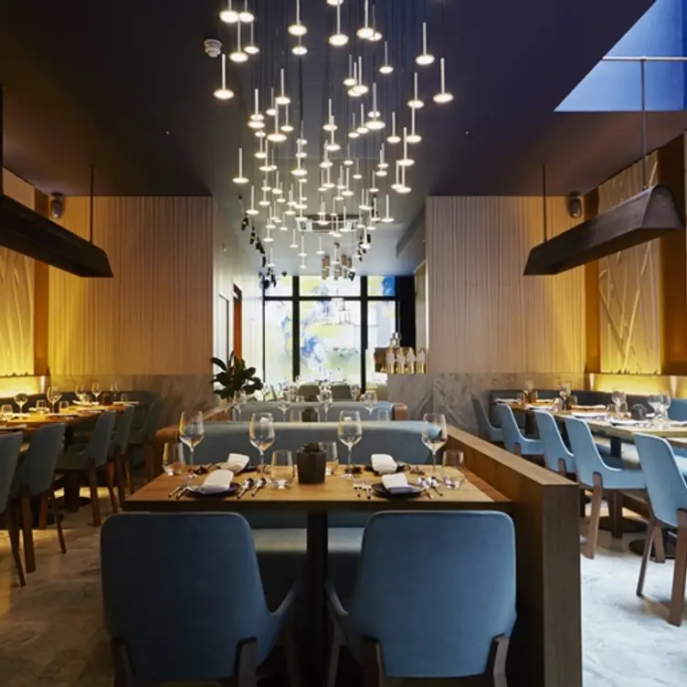 Patara - Berners Street, London, 