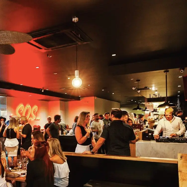 Sister of Society - Sister of Society, Prahran, AU-VIC
