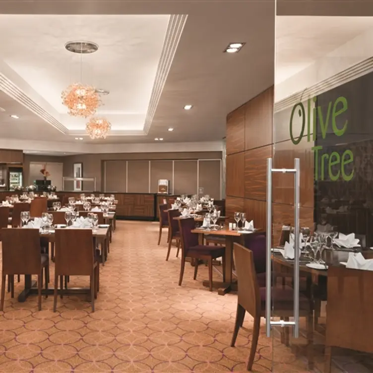 Olive Tree Restaurant，KentDover
